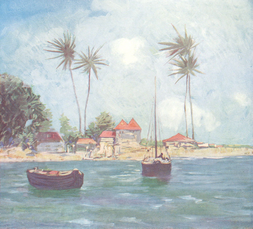 WEST INDIES. Coconut Palms, Falmouth, Jamaica 1905 old antique print picture